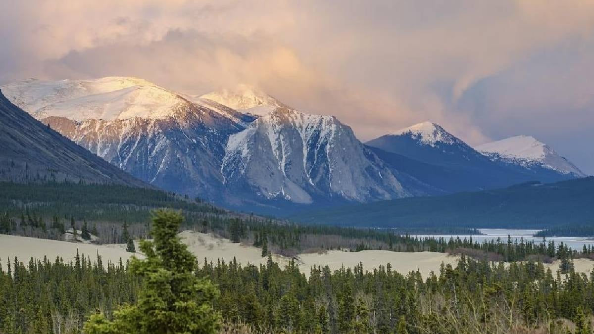 Dünyanın en küçük çölü: Sadece 600 metre genişliğinde