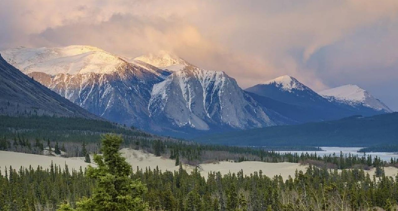 Dünyanın en küçük çölü: Sadece 600 metre genişliğinde