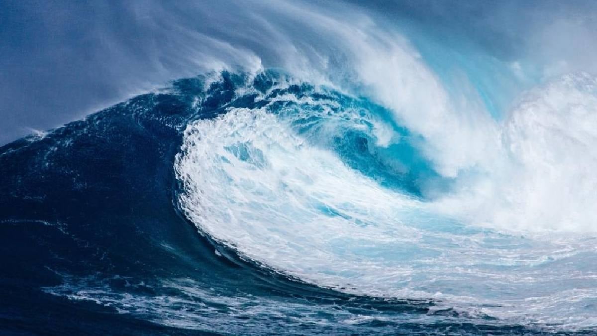 Efsaneydi gerçek oldu: Okyanusta 30 metrelik dev, gören hemen kaşıyor