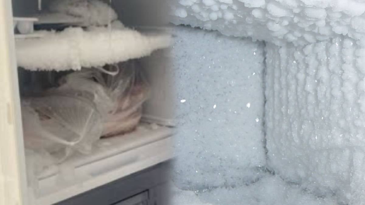 Dondurucuya asla girmemesi gereken gıdalar: Hem lezzeti hem sağlığı bozuyor