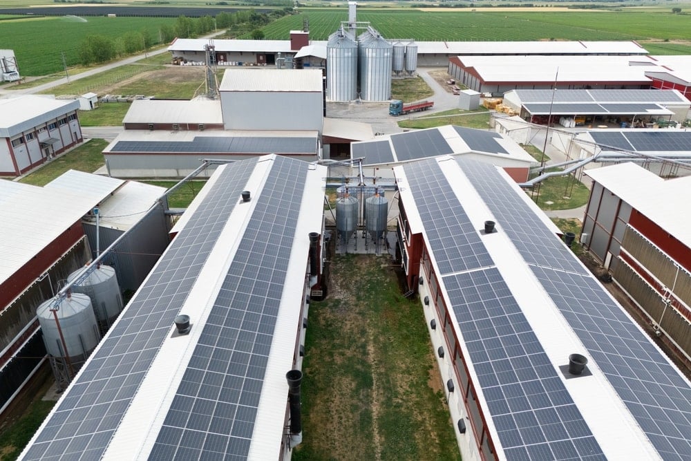 Ülkenin 1 numaralı enerji firmasına kayyum şoku!