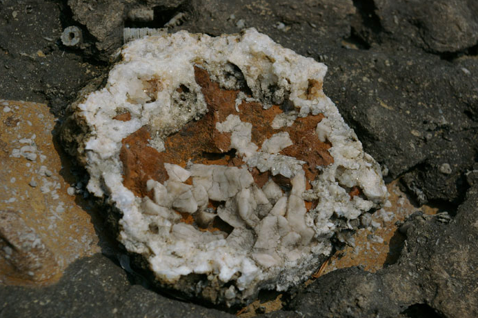 Eline alan suya geri atıyor ama içinden servet çıkıyor