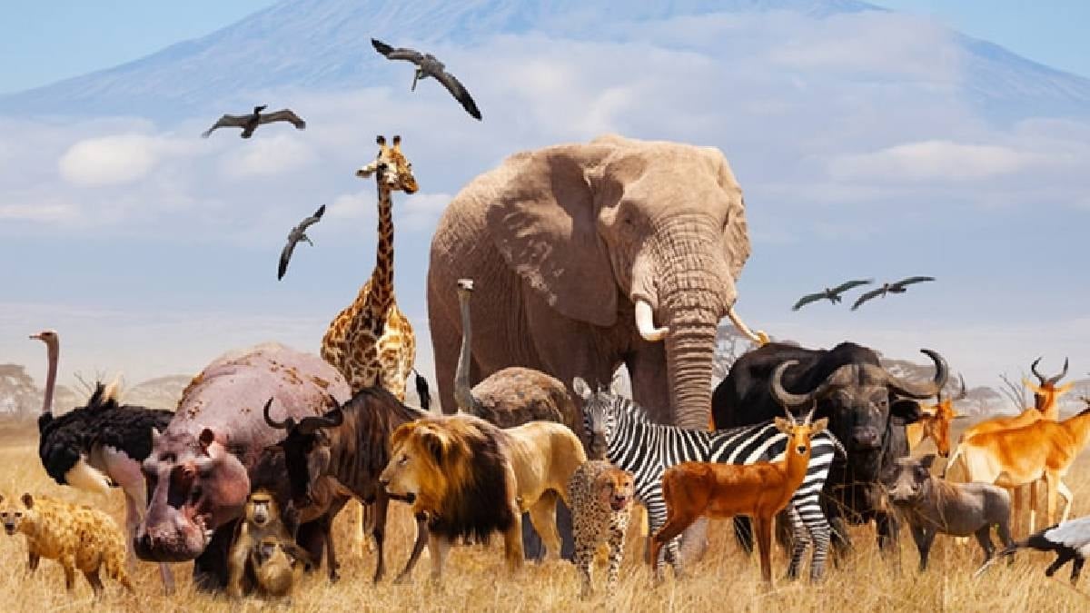 10 bin hayvanı dondurup saklayacaklar