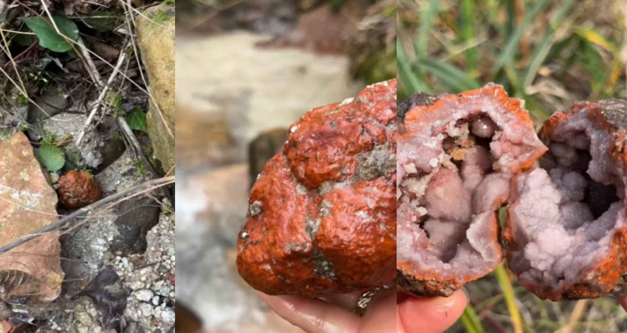 Herkes üzerine basıp geçiyor ama içinden hazine çıkıyor