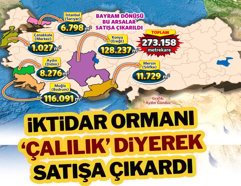 İktidar ormanı ‘çalılık’ diyerek satışa çıkardı