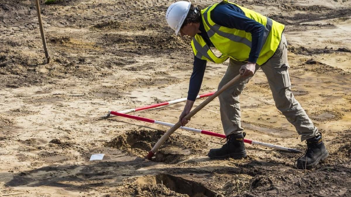 Yol yapımı sırasında inşaat işçileri tesadüfen buldu: 28 metre uzunluğunda devasa yaratık