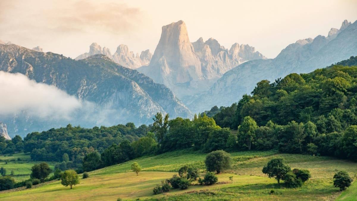 Ülkeye yerleşenlere 1 milyon 381 bin TL veriyorlar: Tek bir şart var