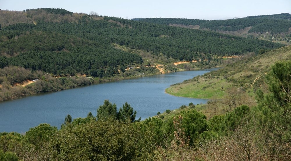 Susuz yaz başlayabilir: İstanbul barajlarında kırmızı alarm
