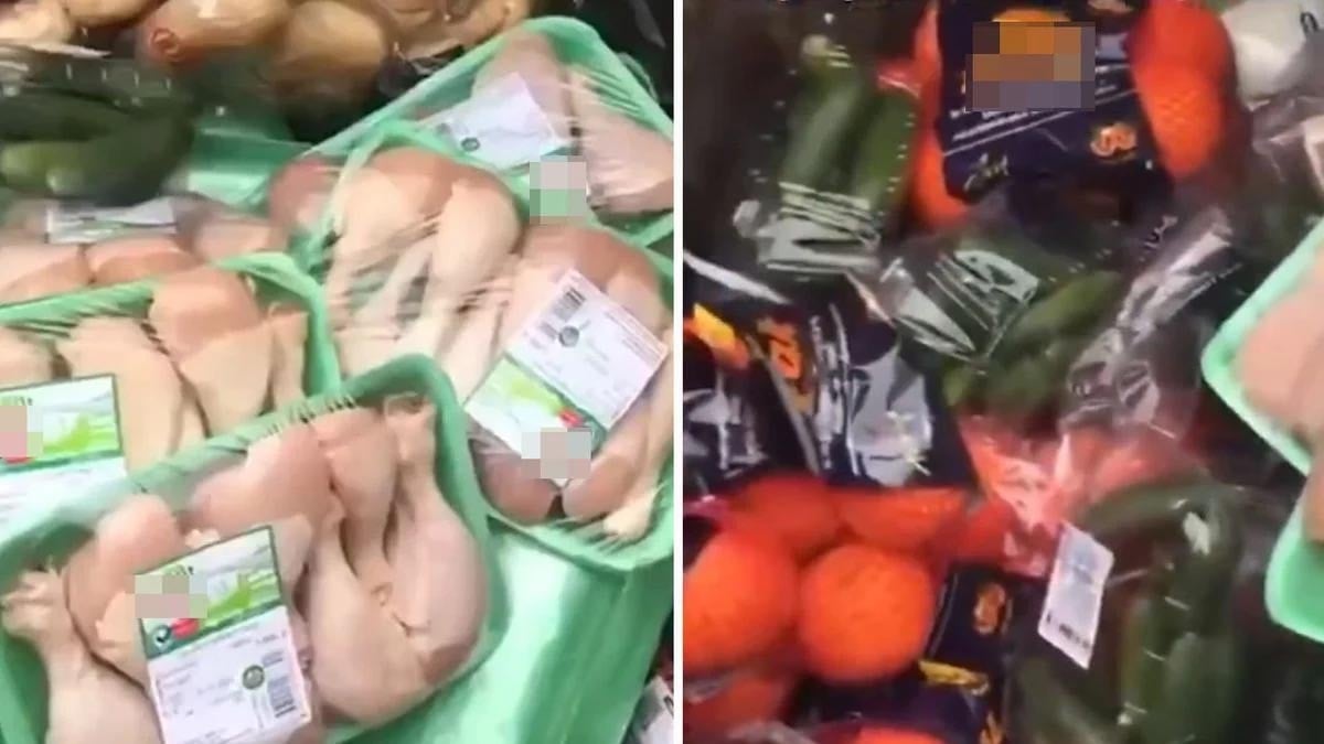 Paketlerle tavukları çöpe attılar! Vatandaş isyan etti