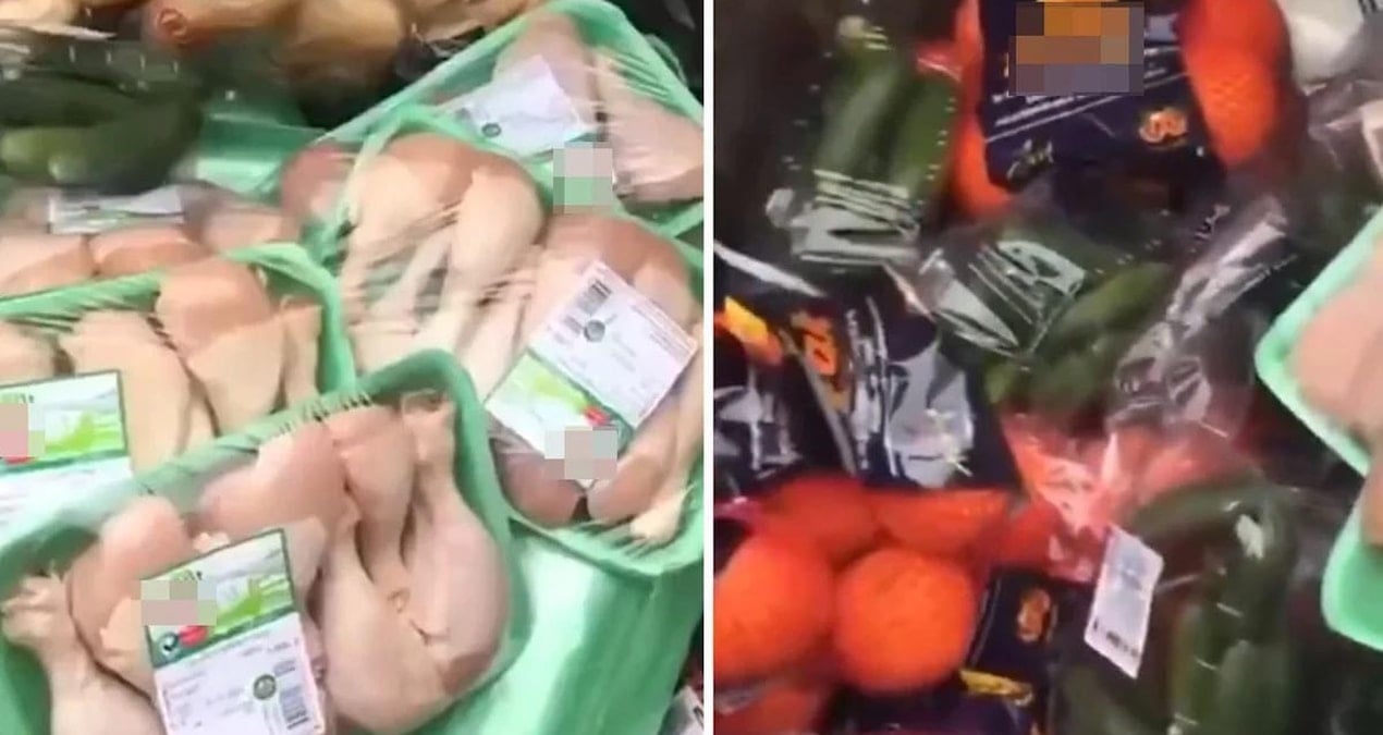 Paketlerle tavukları çöpe attılar! Vatandaş isyan etti