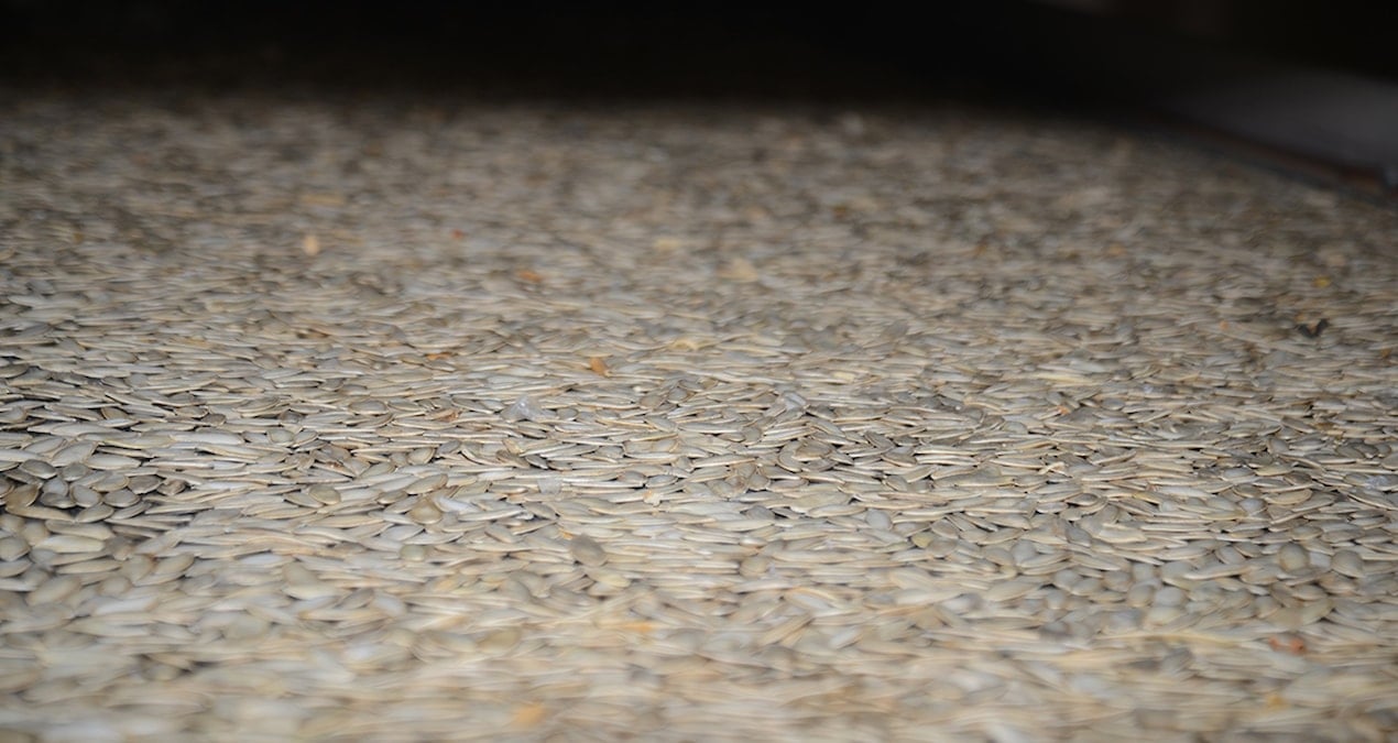 Antep fıstığı veya ceviz değil: Baklavanın içine bunu koyuyorlar, Türkler kapış kapış alıyor