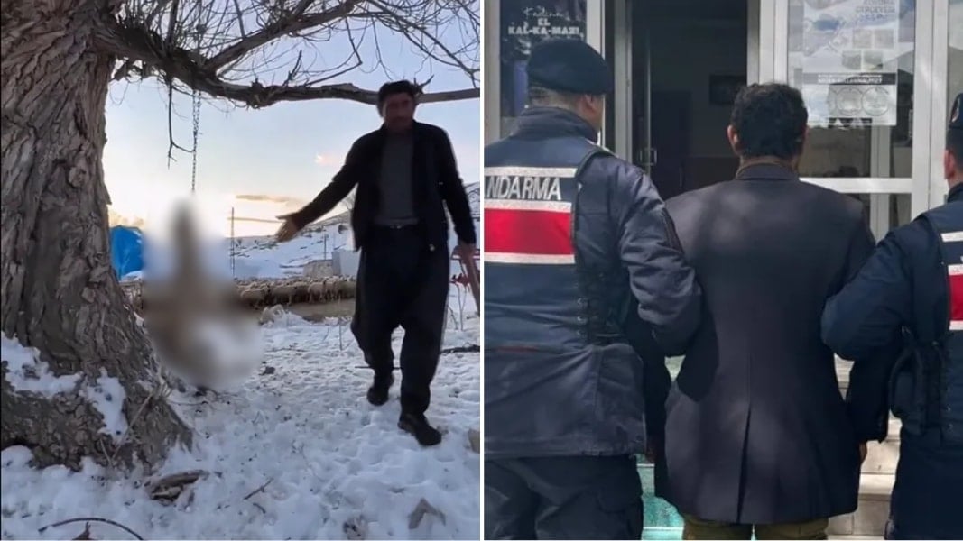 Kayseri'de kan donduran görüntüler! Köpeğini ağaca asarak öldürdü