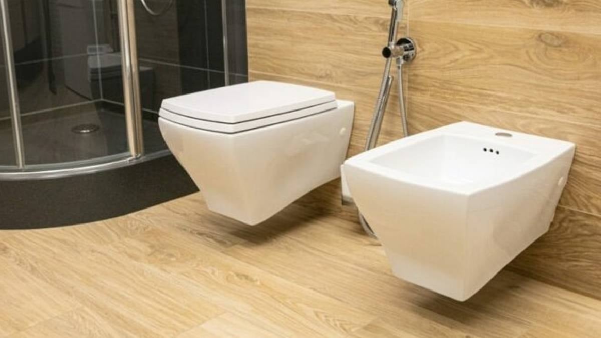 Meğer Avrupa'da bu yüzden yan yana 2 klozet varmış