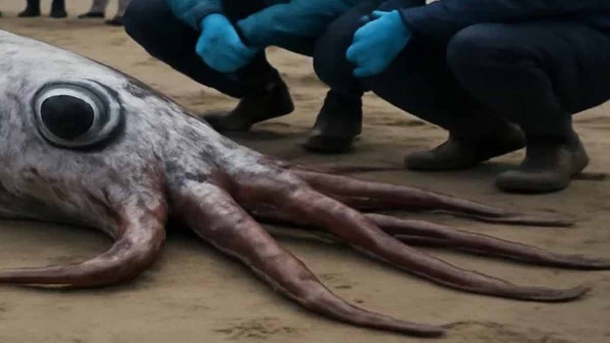  Gören 'kıyamet habercisi' dedi, okyanusun 1.000 metre altından çıkıp geldi