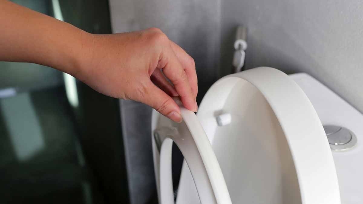 Rusya'nın sansürü tuvaletleri vurdu