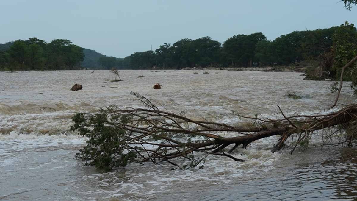 Ani seller artık önceden bilinecek