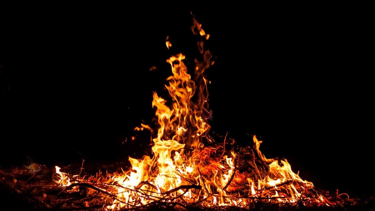 Almanya bahçe ateşini yasaklıyor