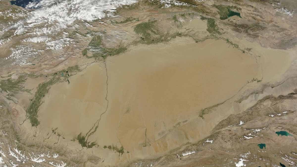 Çin 46 yılda çölü yuttu