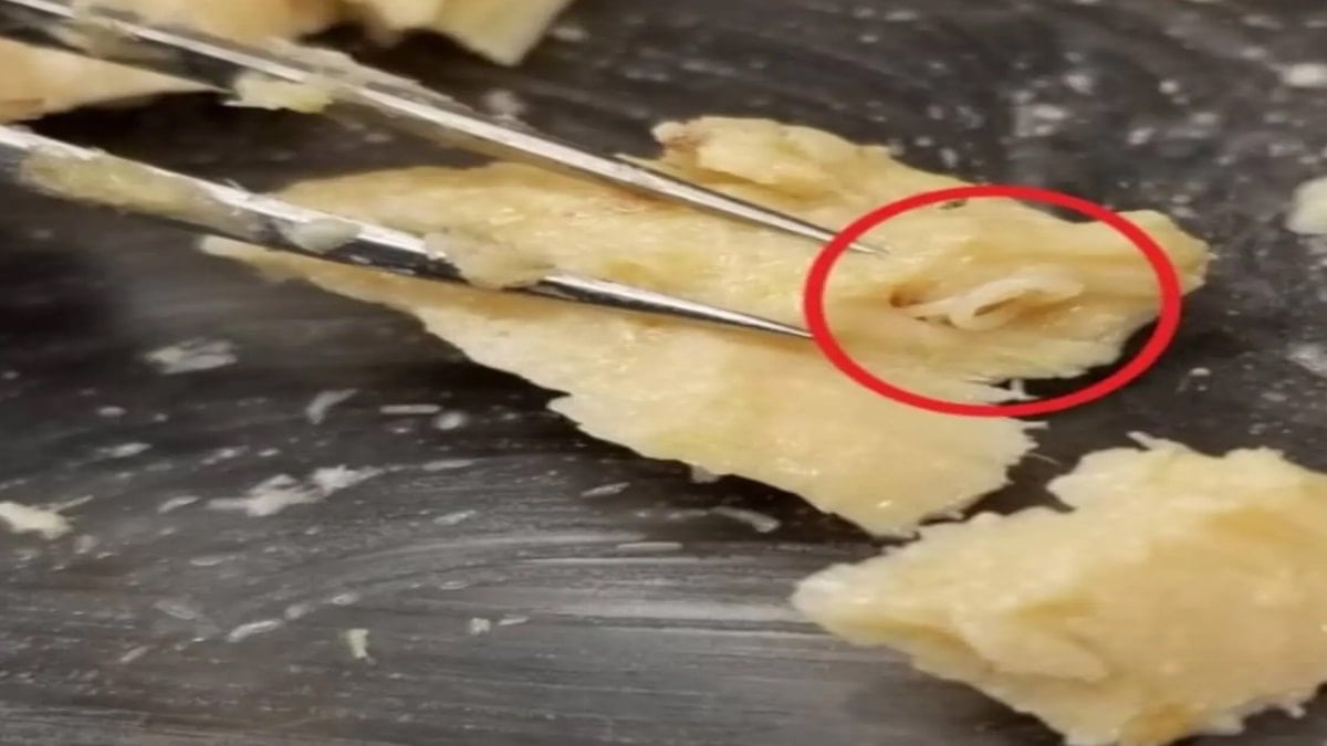 42 yıllık konservenin içinden çıkan büyük keşif