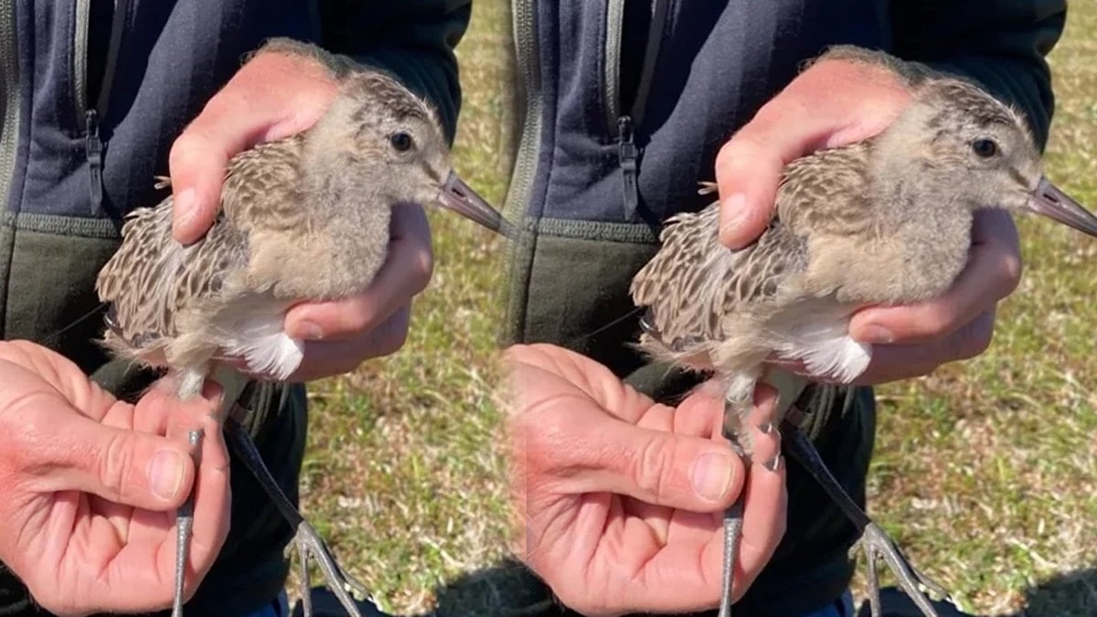 13 bin kilometreyi hiç mola vermeden uçtu