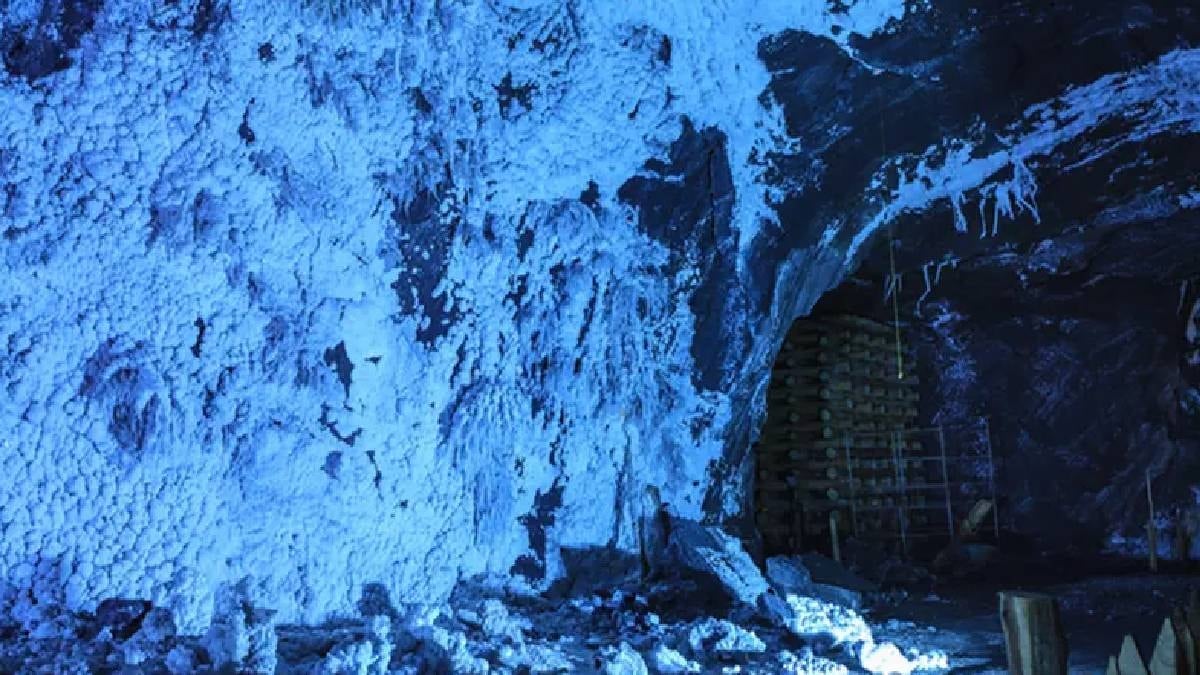 Keşfedilmemiş mağaralarda yeni canlı türleri bulundu