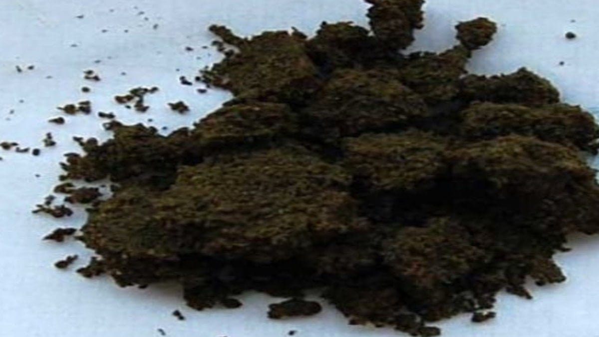 Bir tanesi çok sayıda sigaraya bedel