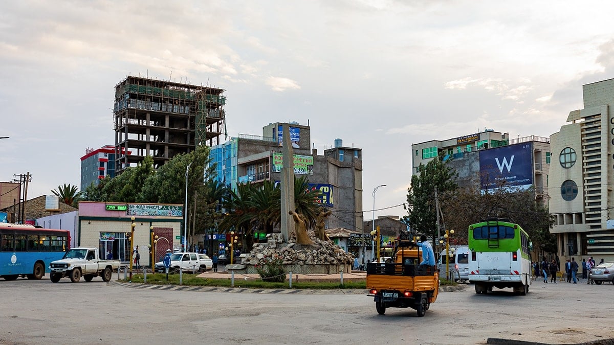 Sokaktaki hayvanlar şehre milyonlar kazandırıyor 