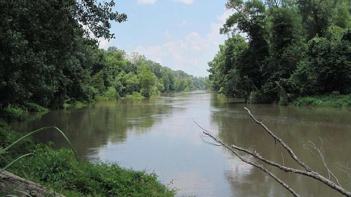 31 bölgeyi birbirine bağlıyor: Dev nehrin dibinde tarih öncesi gizemli yaratık görüntülendi