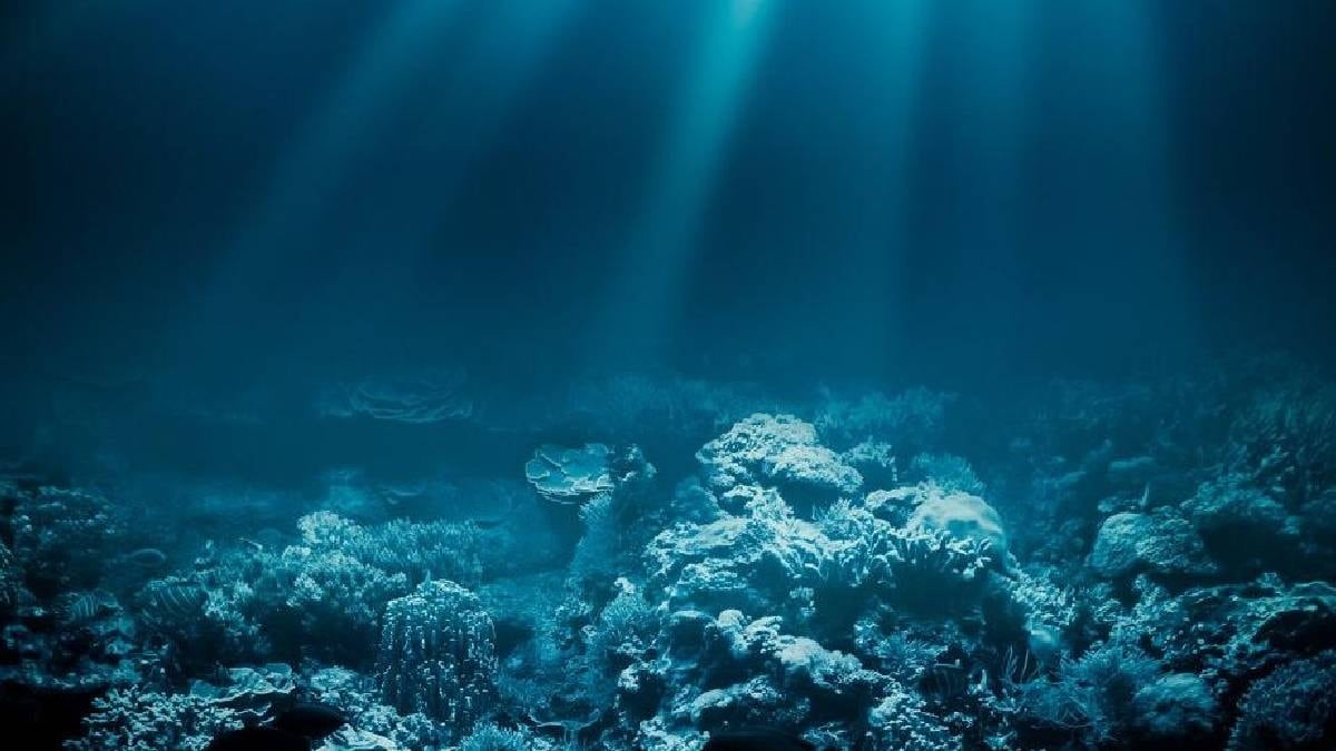 Okyanusun derinliklerinde şahin gözlü yaratık keşfedildi: Gözleri tüp gibi dönüyor