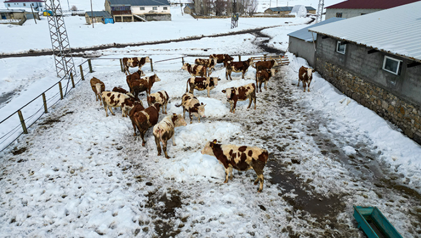 İstanbul'dan sıkılıp köye yerleşen mühendis şimdi paraya para demiyor