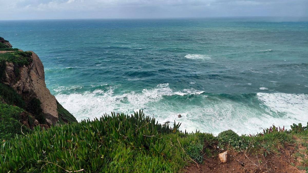 Panama Körfezi'nde 40 yıl sonra bir ilk: Okyanus nefesi aniden kesildi