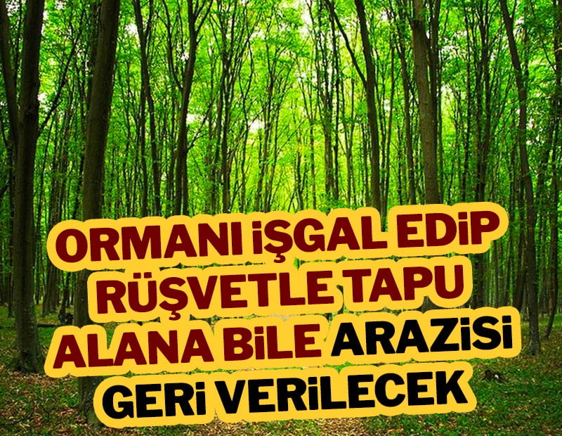 Ormanlara 3 koldan hançer