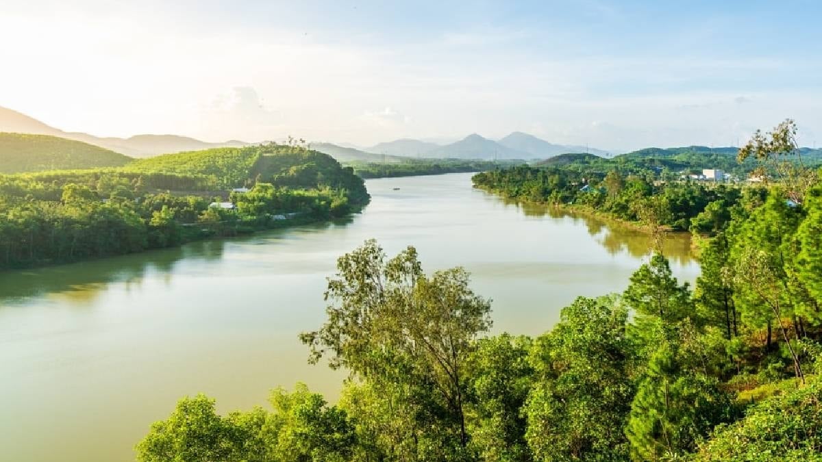 Dünyanın en büyük sürüngeni: 2 tondan daha ağır