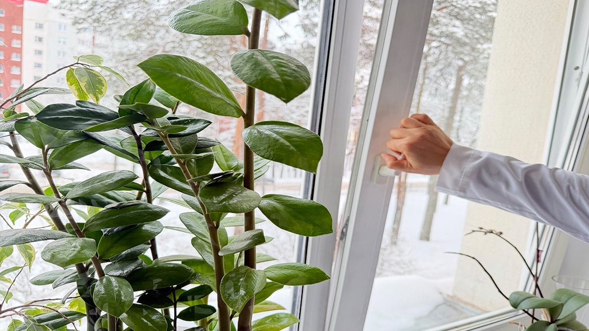 Mart ayında 10:00 - 15:00  saatleri arasında pencereleri kapalı tutun uyarısı