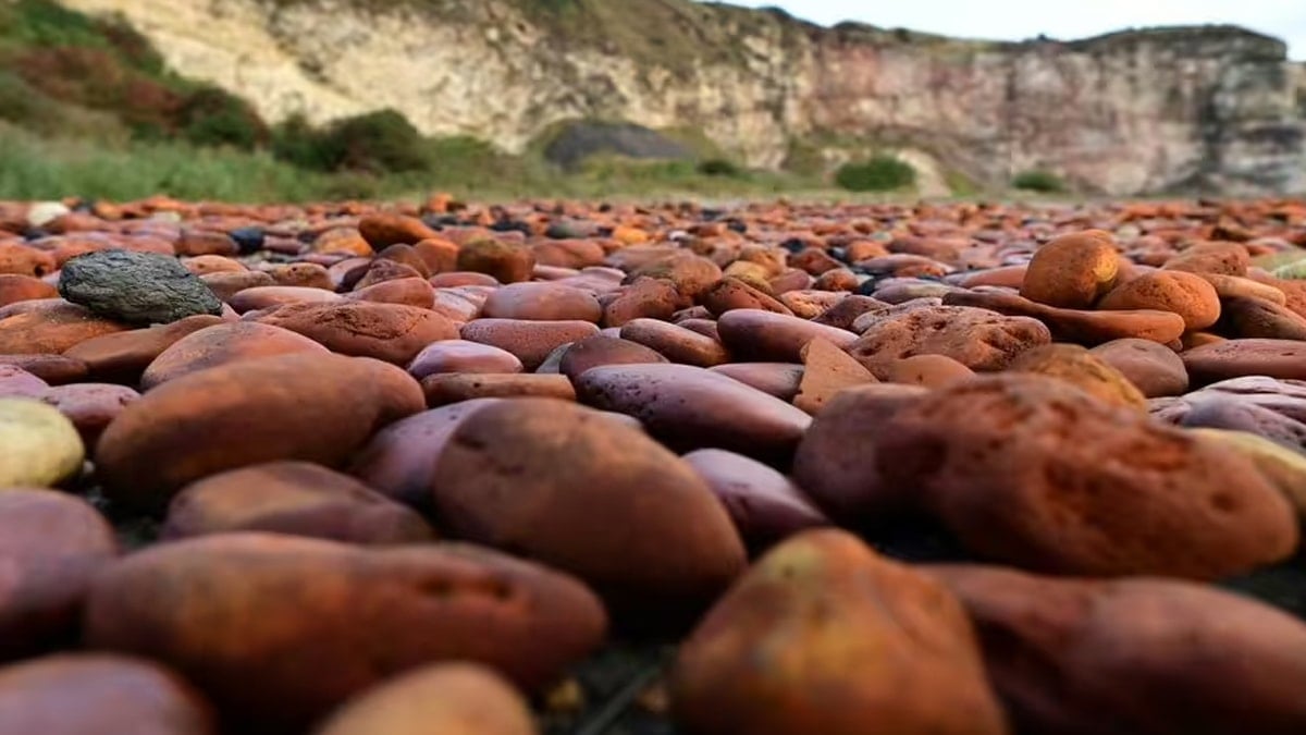 Zehir saçan bu plaj artık define avcılarının uğrak yeri