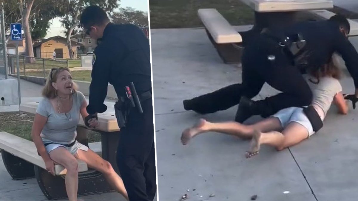 Polis parktaki insanları rahatsız eden kadını yerden yere vurdu