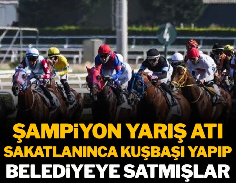 Şampiyon yarış atını sakatlanınca kuşbaşı yapıp belediyeye satmışlar