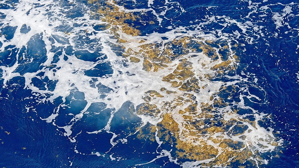 Dünyada kıyısı olmayan tek deniz