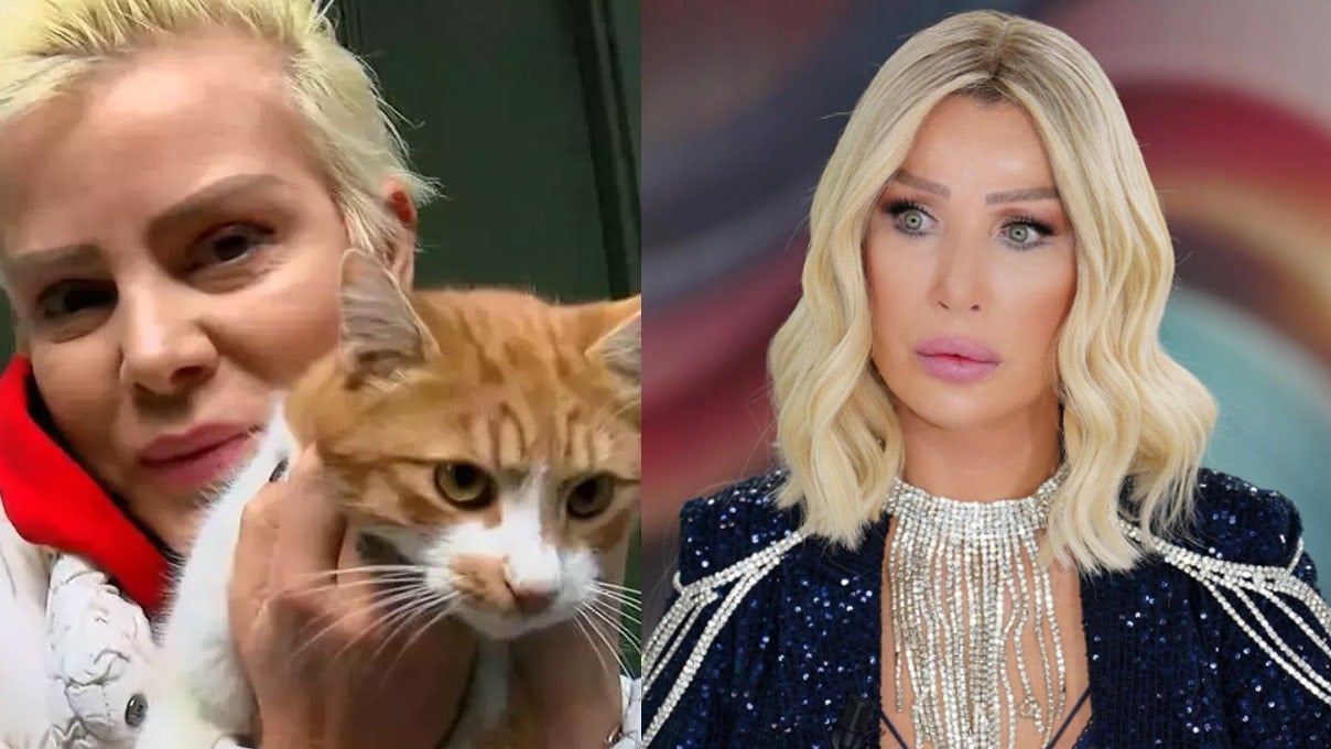 Canlı yayında gerilim! 30 kedi itirafına Seda Sayan’dan sert çıkış