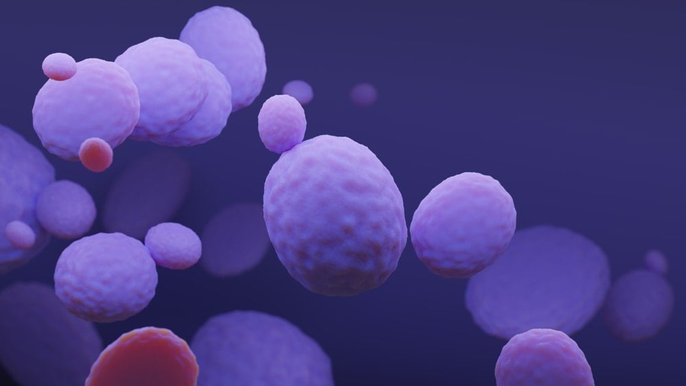 Kanseri bakterilerle yenecekler: Yeni bir sayfa açıldı