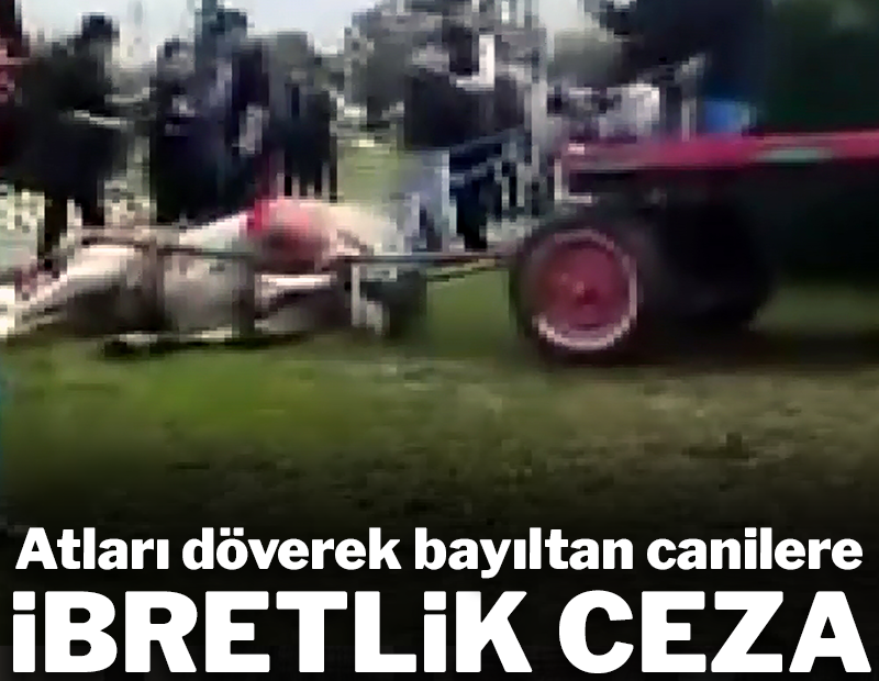Atları döverek bayıltan canilere ibretlik ceza