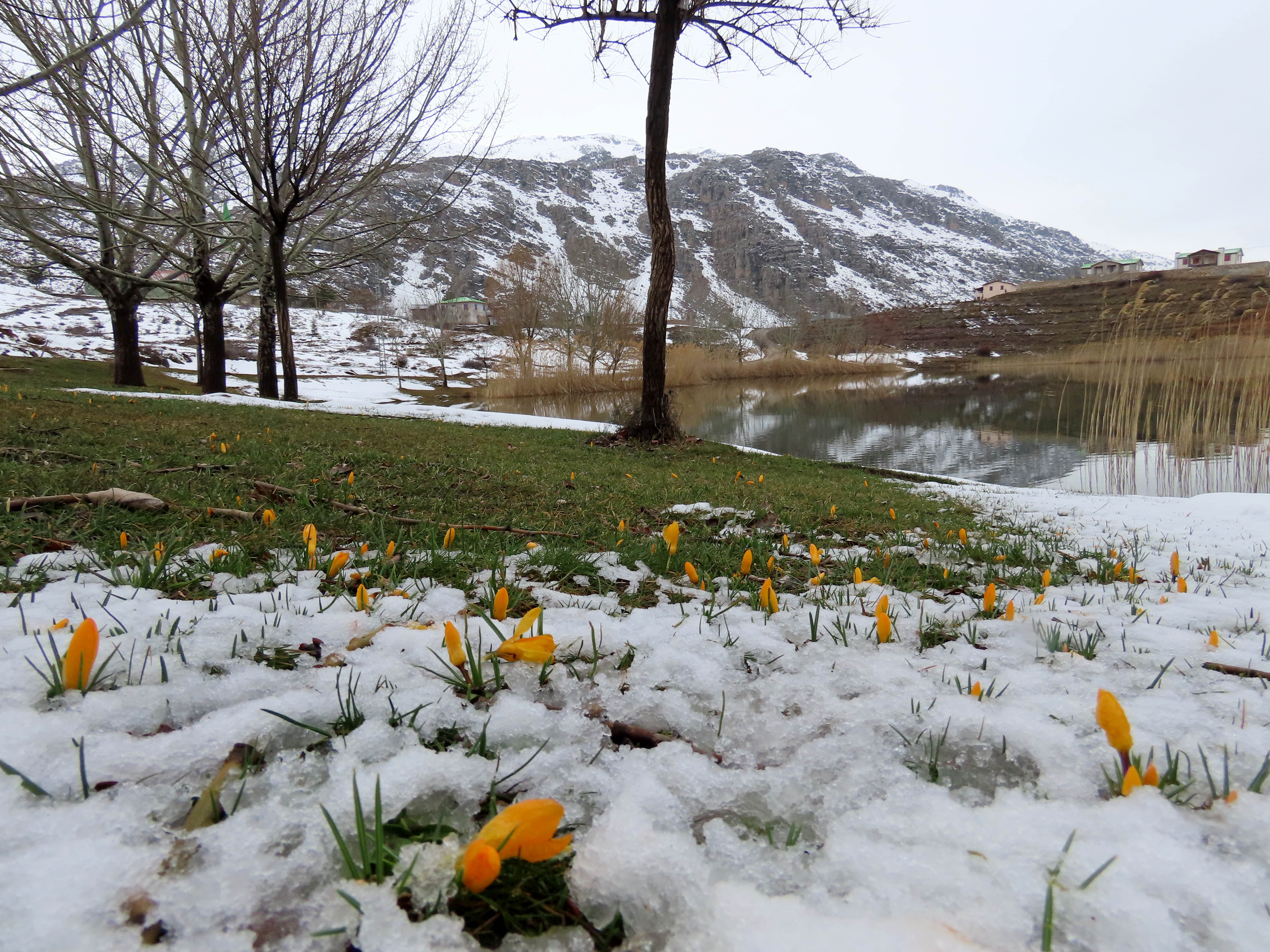 Karlar eriyince ortaya çıktı: Sadece 14 gün görülebiliyor
