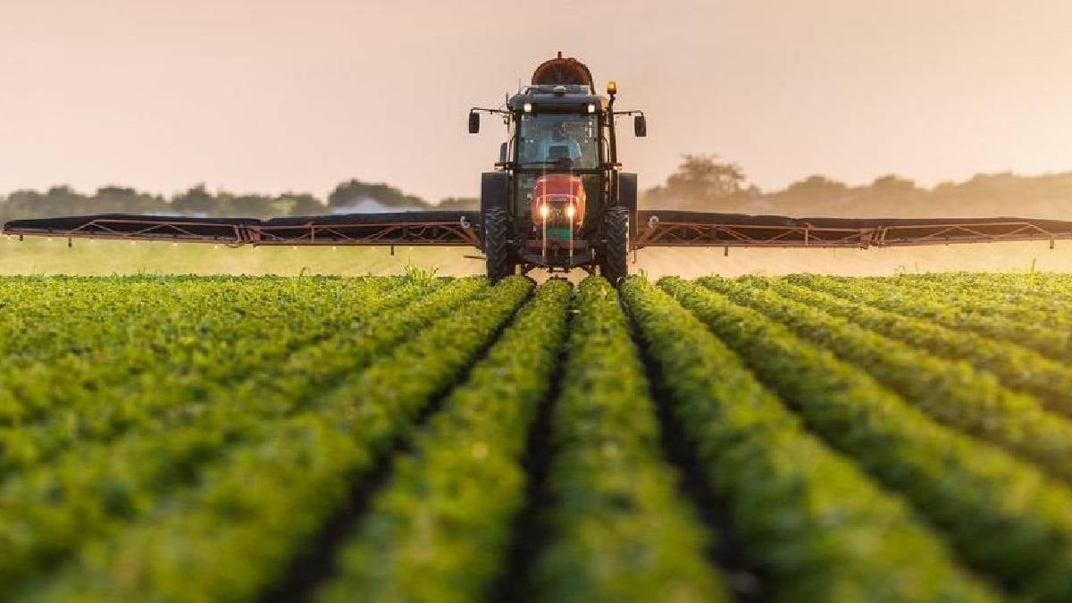 100 milyon lira sermayeli Türkiye'nin tarım devi battı