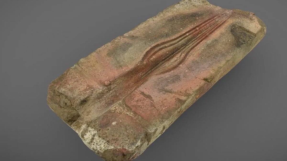 Bahçesindeki taşın bir miras olduğunu öğrendi