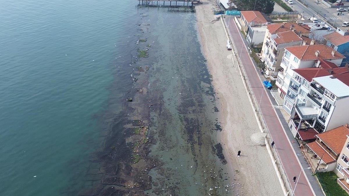 Görüntü Türkiye'den... Deniz 7 metre çekildi: 'Kral Yolu' ortaya çıktı