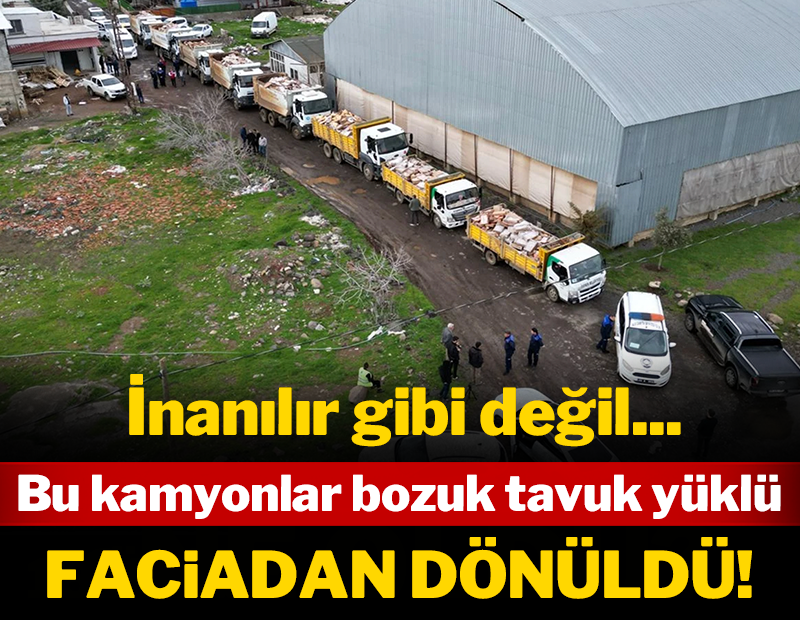 İnanılır gibi değil: Bu kamyonlar bozuk tavuk yüklü! Faciadan dönüldü!