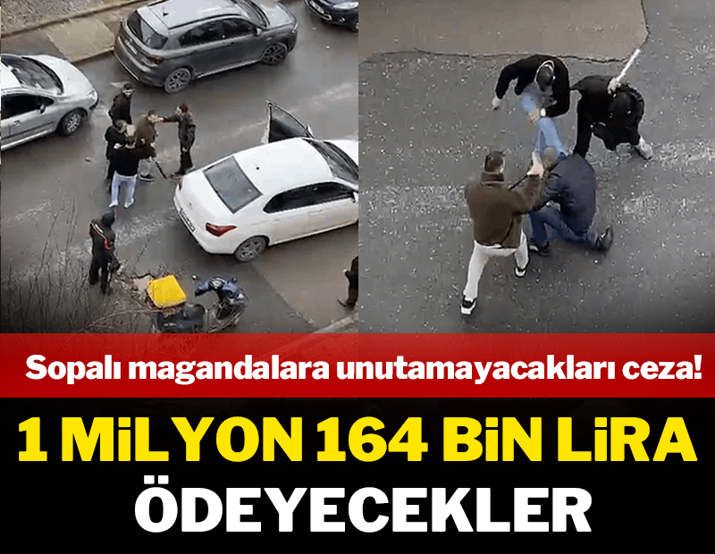 Sopalı magandalara unutamayacakları ceza: 1 milyon 164 bin lira ödeyecekler