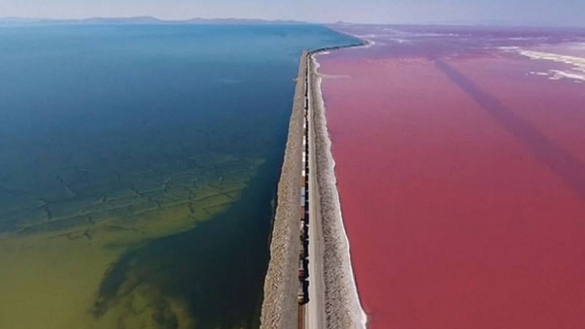 Gölün derinliklerinde daha önce dünyada hiç görülmemiş canlılar bulundu