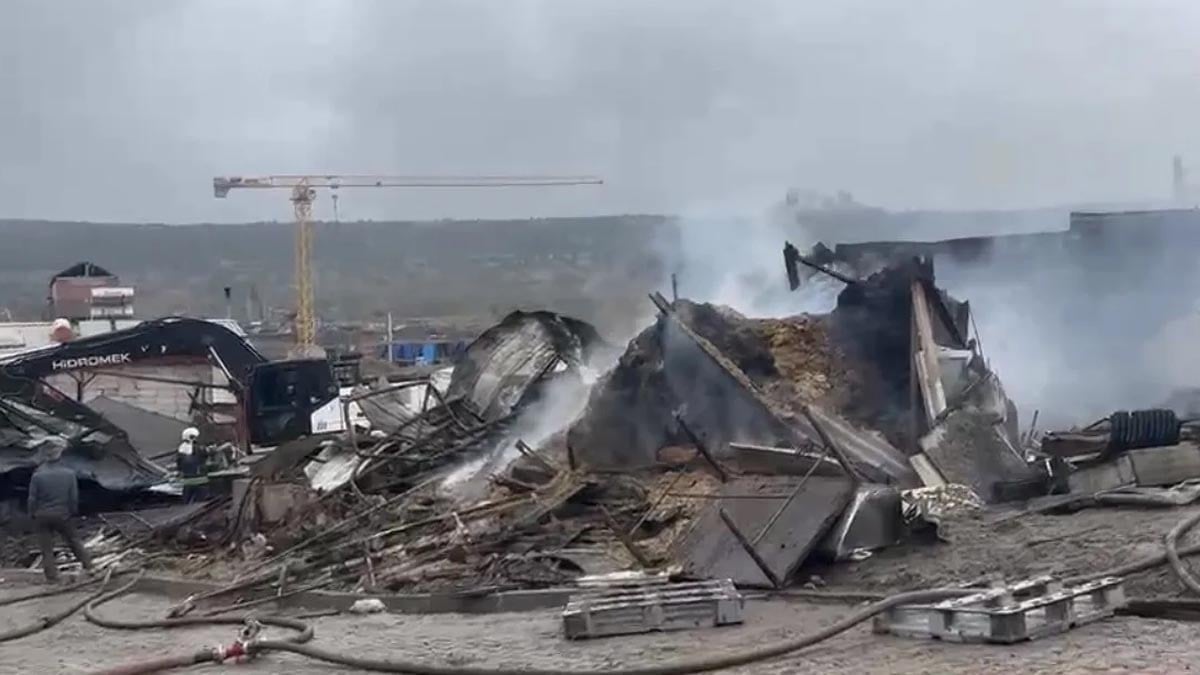 Yangında yüzlerce hayvan telef oldu