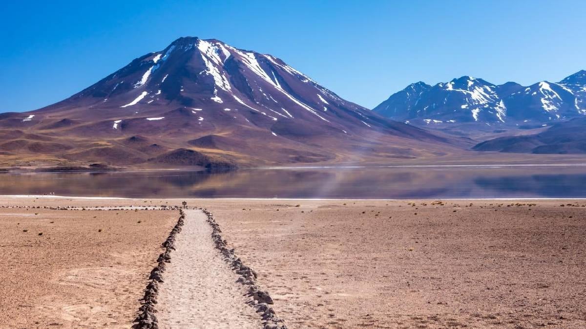 Dünyanın en kurak çölünde gizli vaha